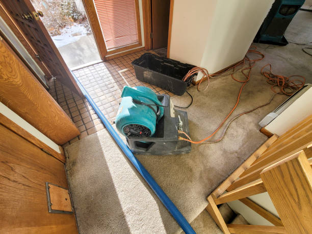 Best Flood damage cleanup  in USA