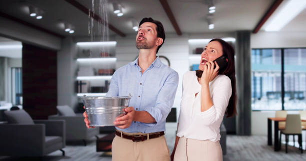 Best Water damage restoration near me  in USA